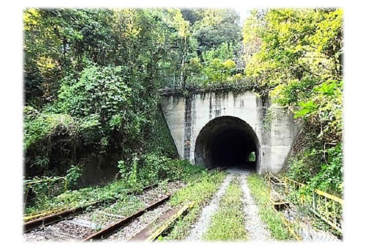 近鉄大阪線の廃線トンネル「旧玉手山トンネル」
