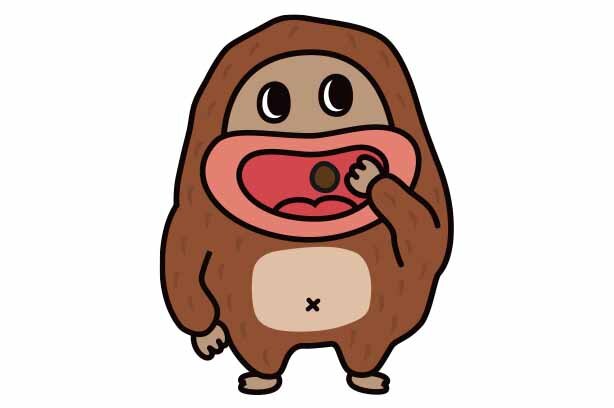 ⼈間と仲良くなりたい気持ちから「サク⼭チョコ次郎」と名乗る、本名「チョコジロー」　(c)Shoei Delicy Corp. 