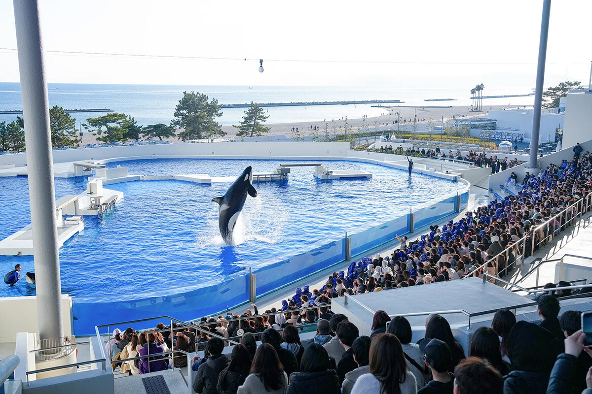 兵庫の水族館「神戸須磨シーワールド」（神戸市須磨区）