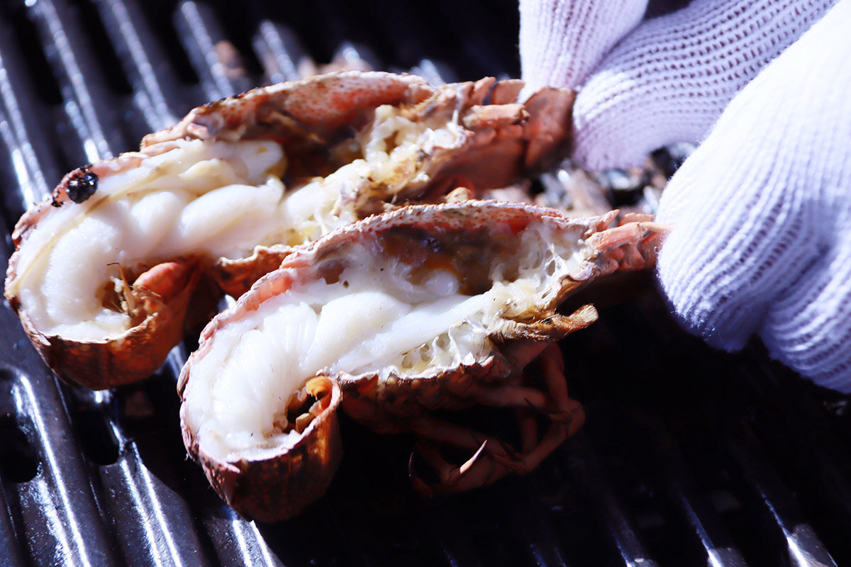 マルシェで堪能できる、和歌山の海の幸（イメージ）