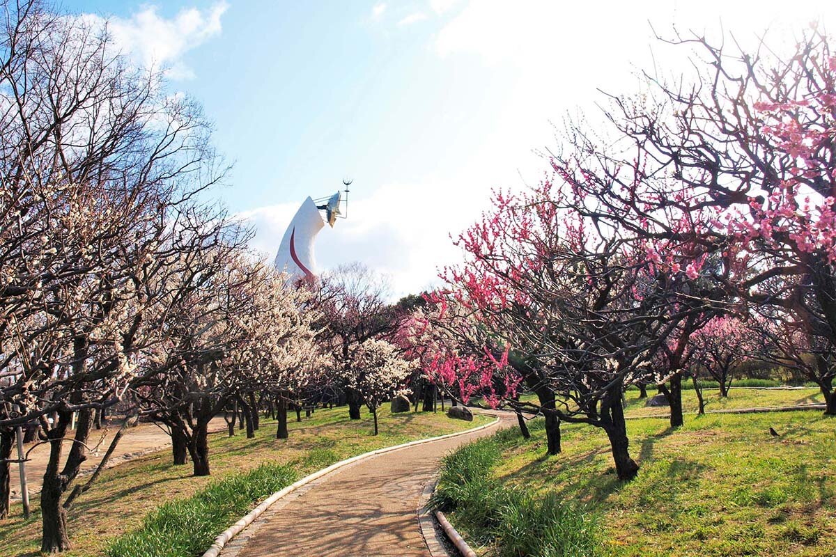 万博記念公園「梅まつり」の過去開催時の様子