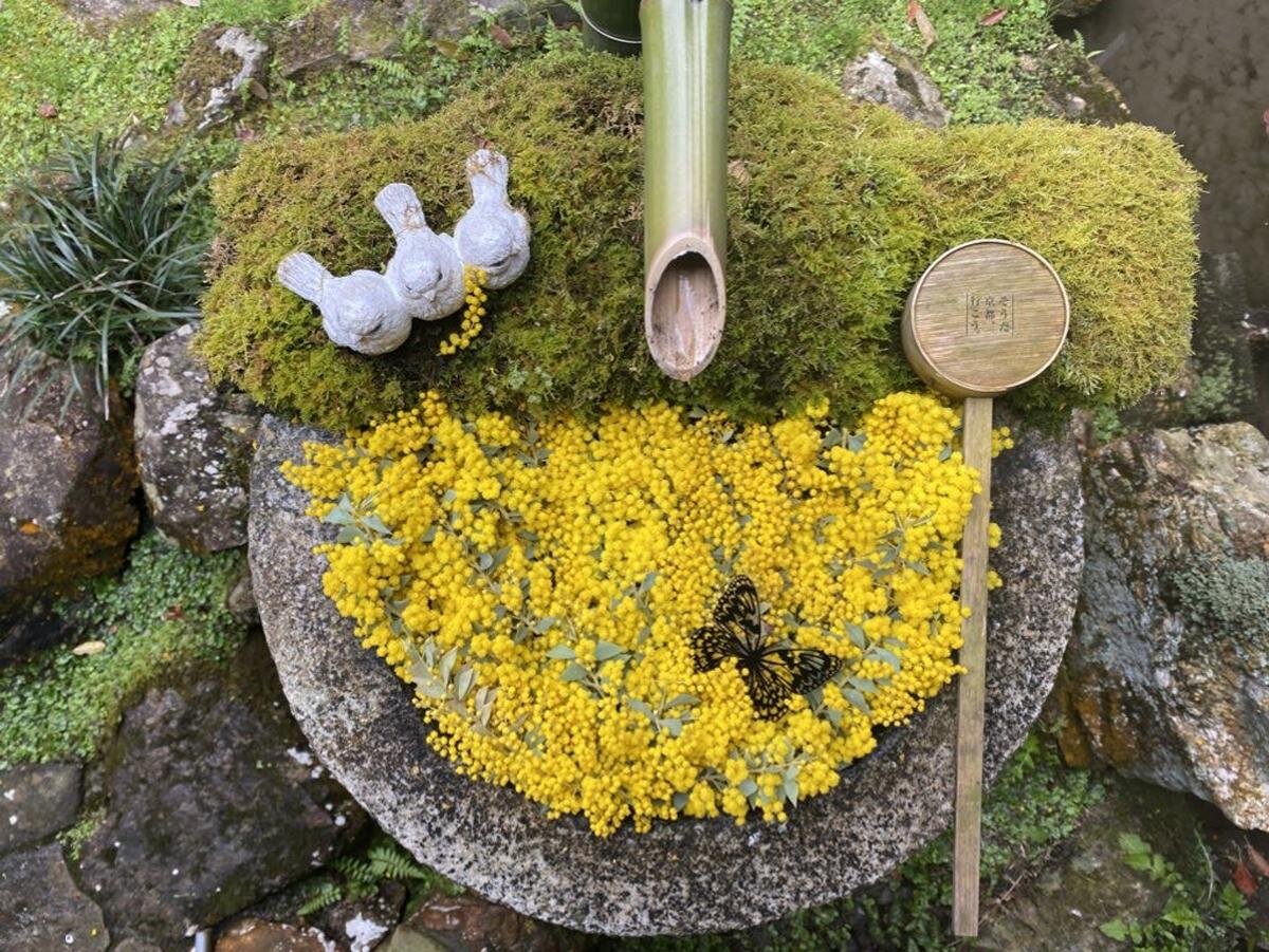 「柳谷観音 楊谷寺」の花手水（京都府長岡京市）