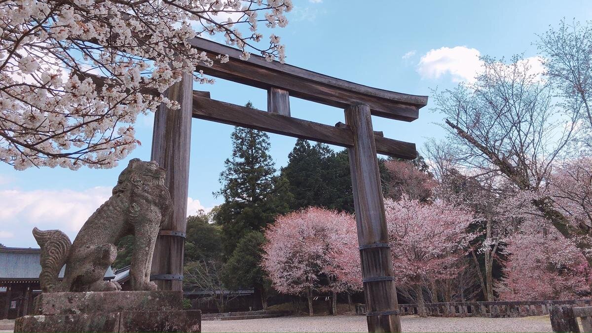 自然あふれる「吉野神宮」の境内で、季節を感じる参拝を（奈良県吉野郡）