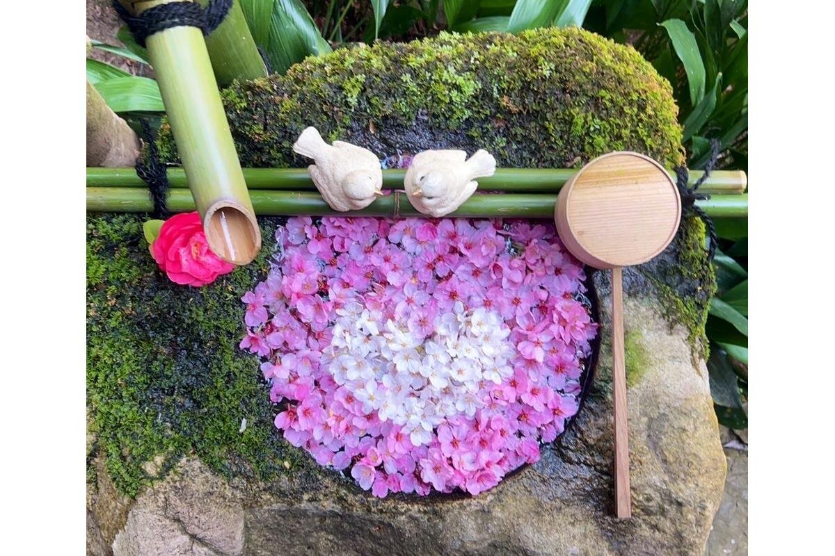 「柳谷観音 楊谷寺」（京都府長岡京市）は、2017年ごろから花手水をスタートしています