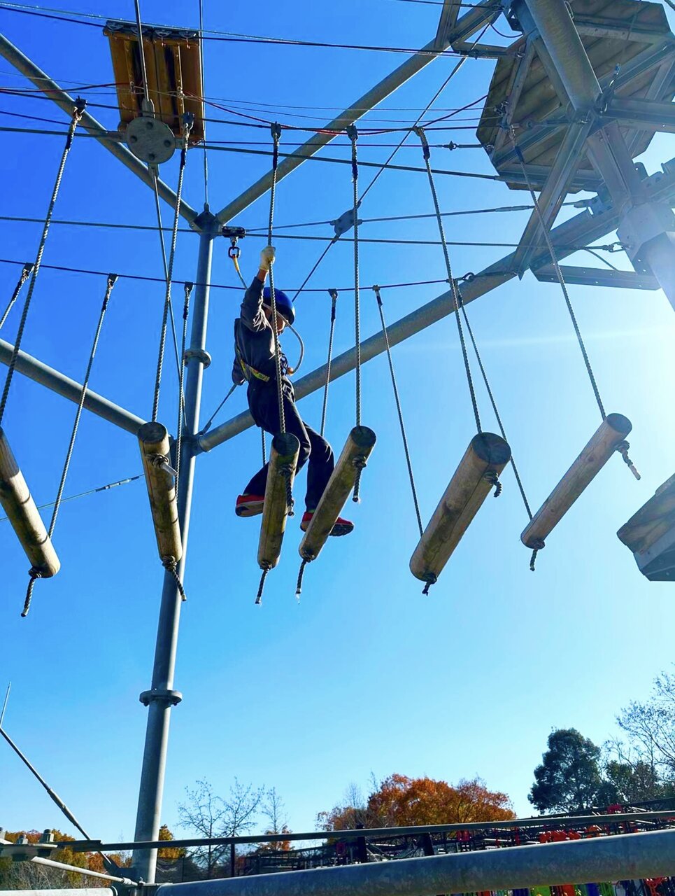 専用ハーネスを装着して地上3mから7mへと進む「空中アスレチック」（生駒山麓公園・奈良県生駒市）