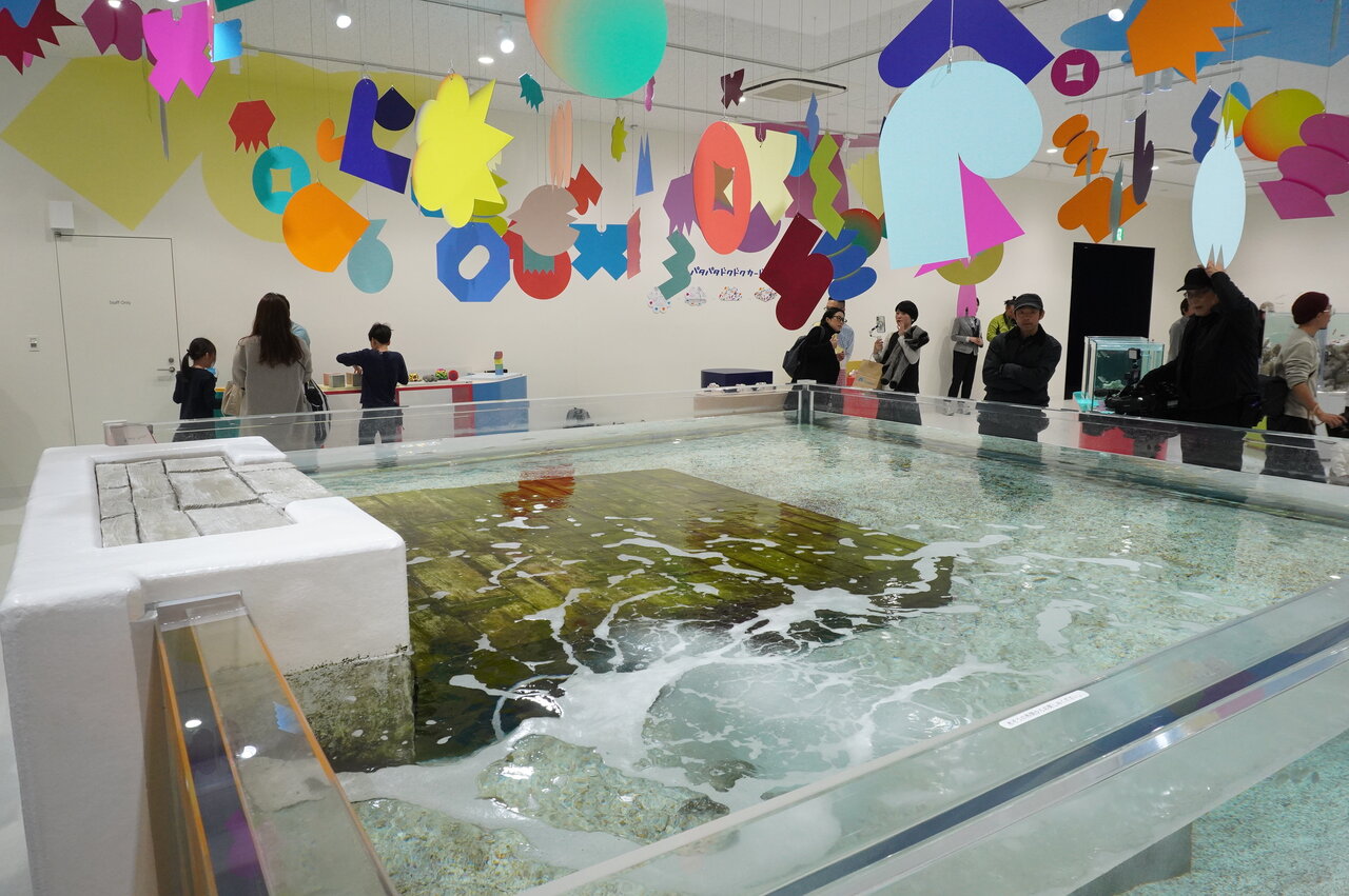 毒をもたない魚を「探す」大型水槽（ニフレル、大阪府吹田市）