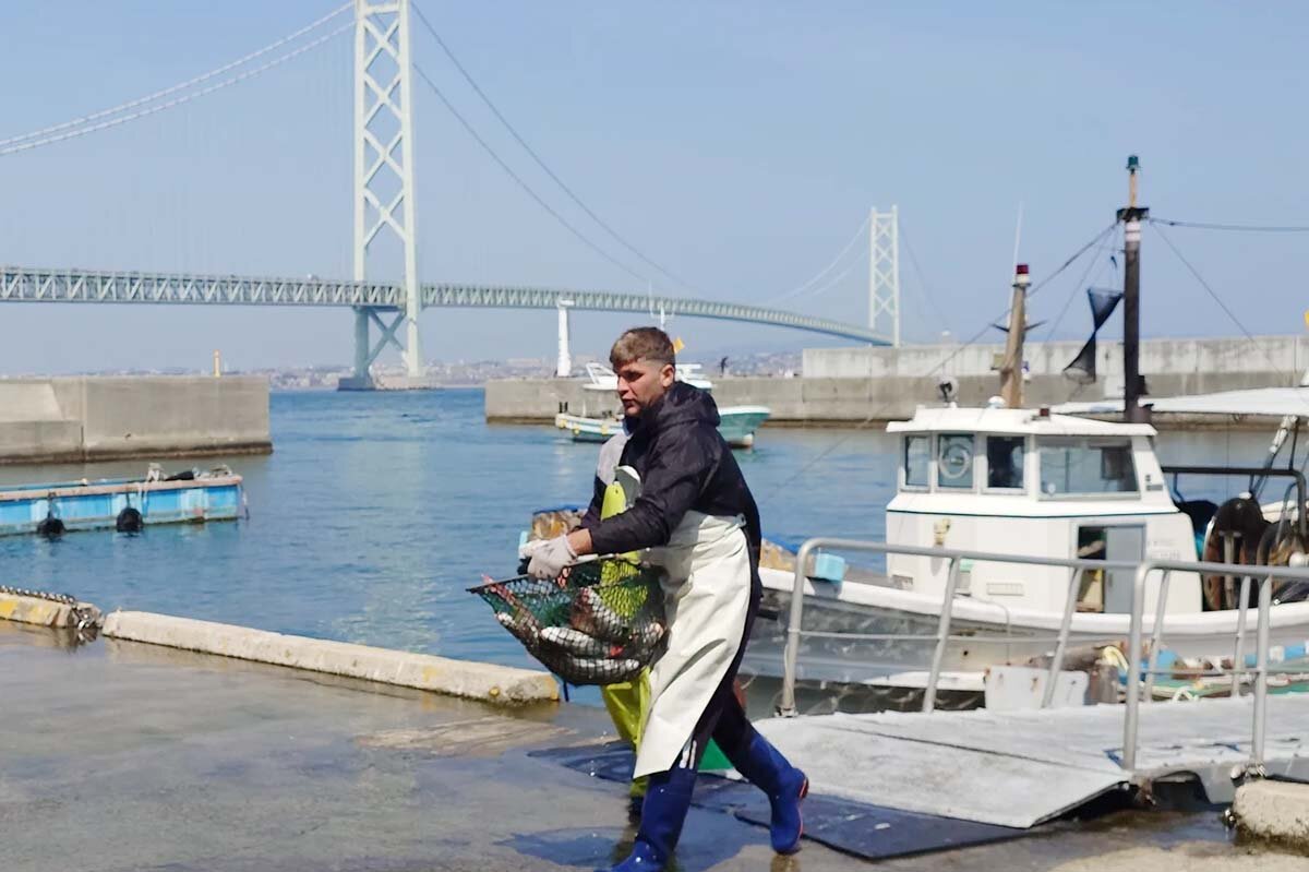 岩屋漁港に到着した淡路島産の天然真鯛を漁協組合員が漁船から競り会場に運ぶ様子
