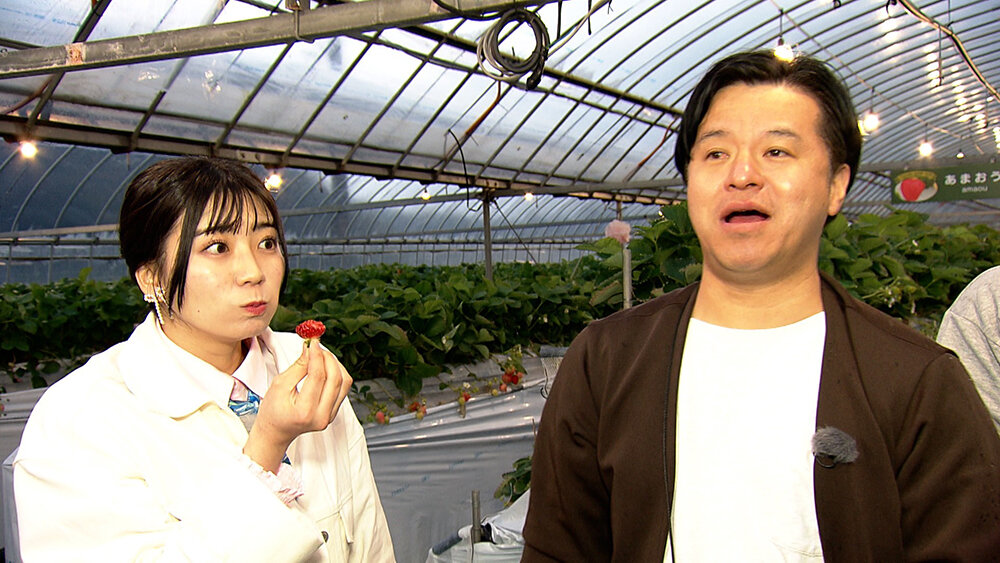 『フットマップ』（4月11日OA）