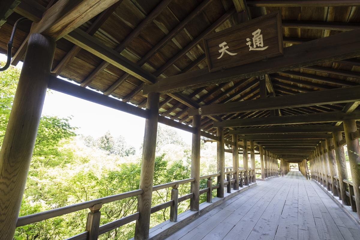 通天橋を歩きながら新緑が楽しめます「東福寺」（京都市東山区）