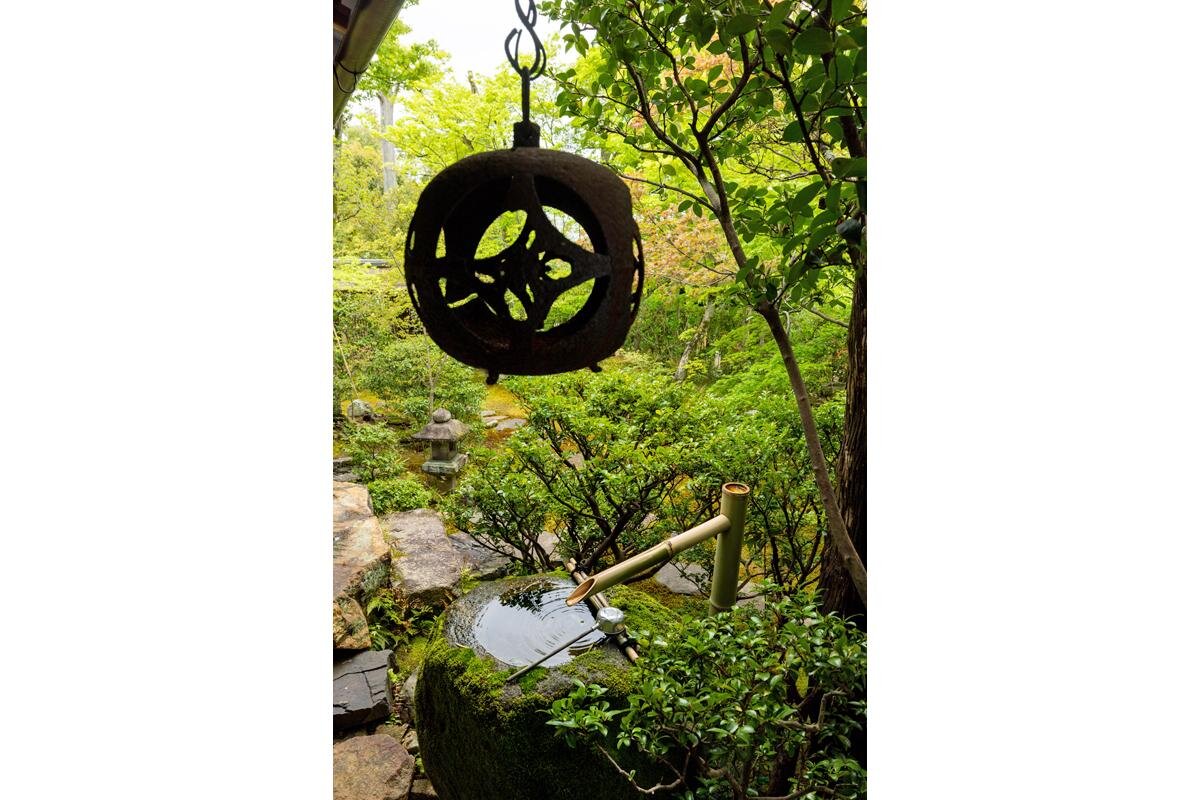 茶室へいたる路地庭園「妙心寺塔頭　大法院」（京都市右京区）