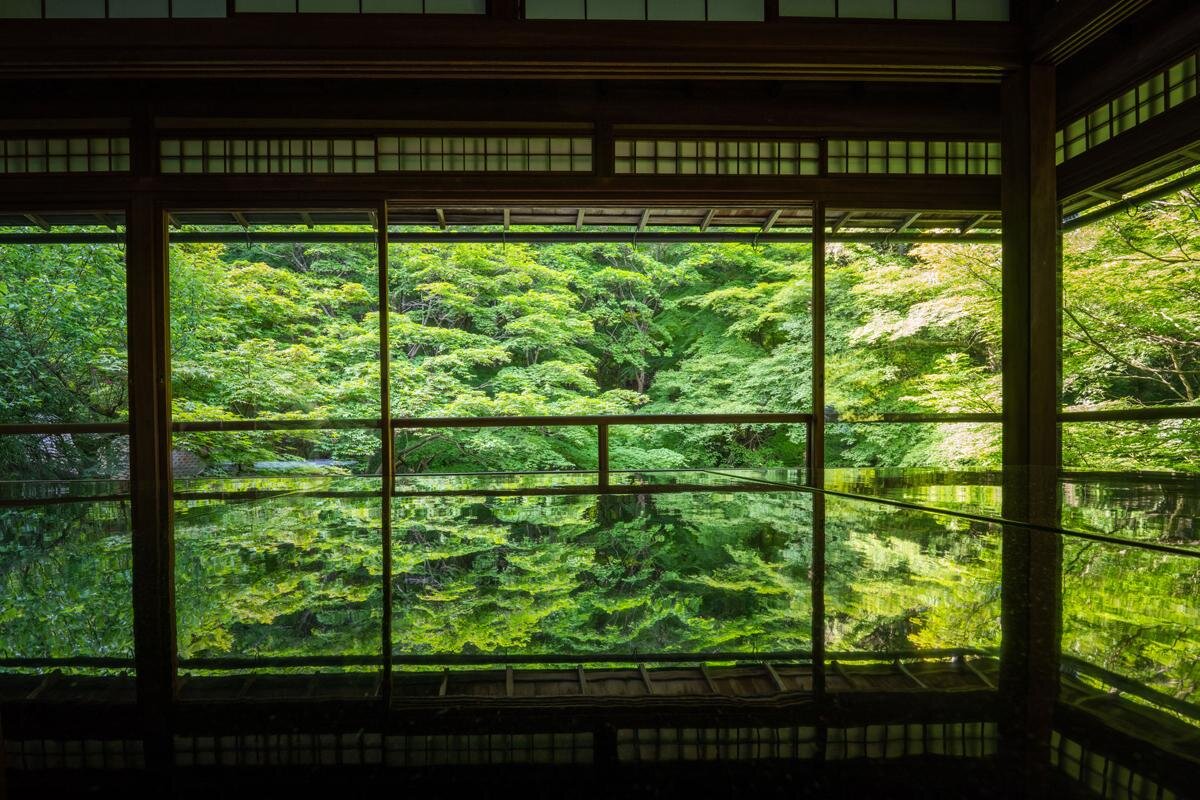 息をのむ美しさ「瑠璃光院」（京都市左京区）