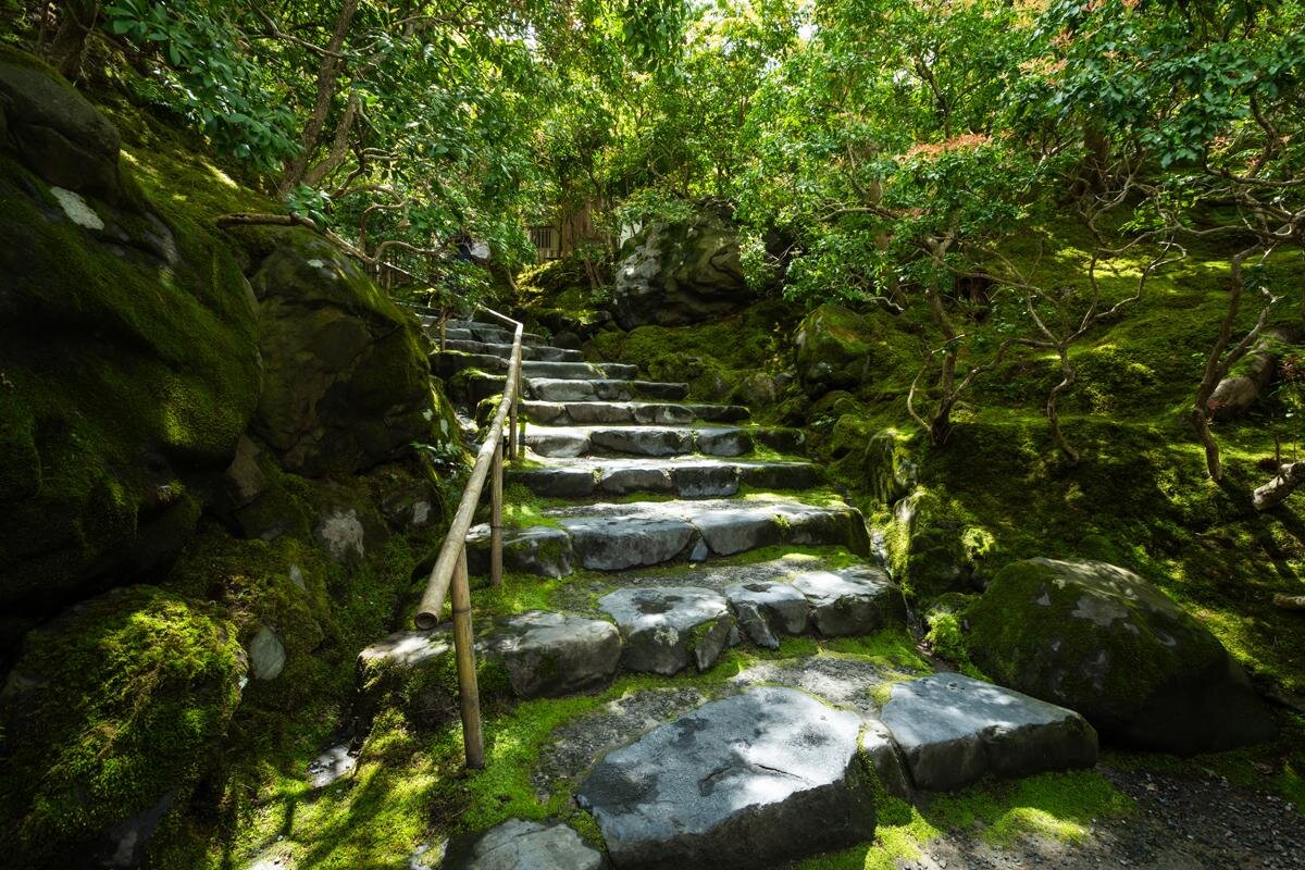 山門を入ると「山露路の庭」が迎えてくれます「瑠璃光院」（京都市左京区）