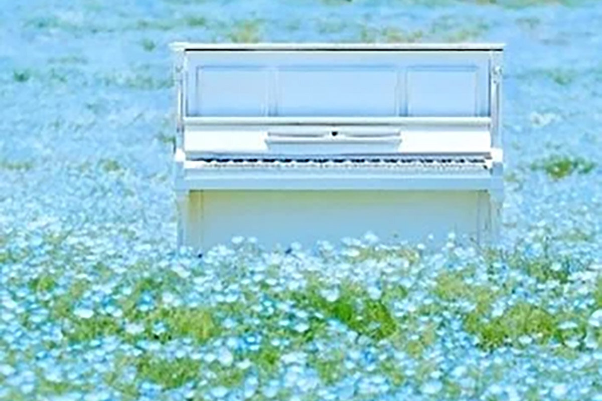 「こうべアグリパーク」（神戸市西区）内に設置された、自由に演奏することができるストリートピアノ（イメージ）