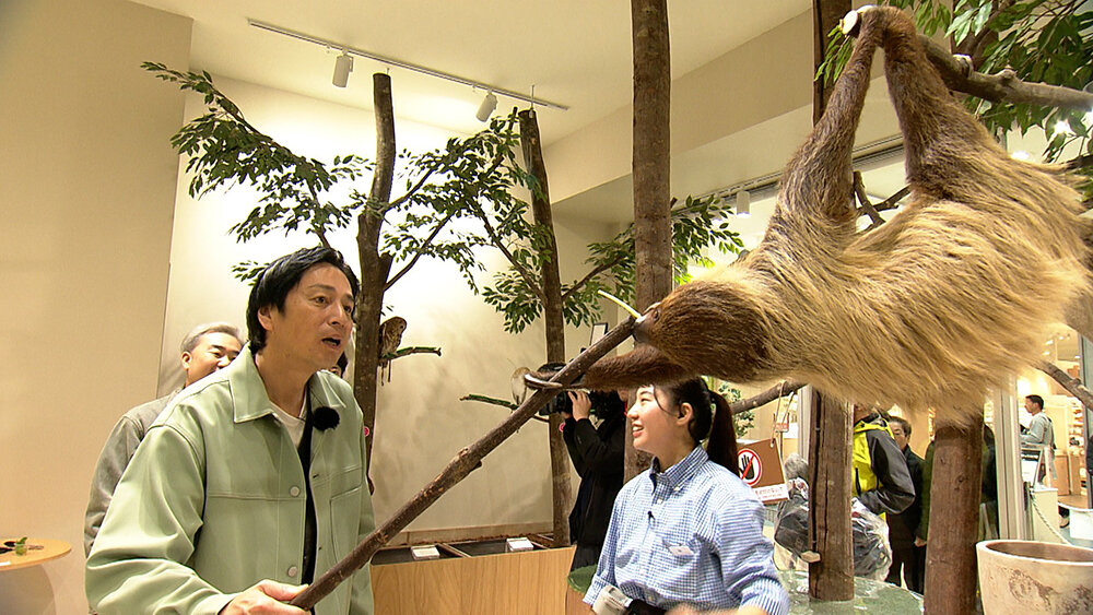 『フットマップ』（4月18日OA）