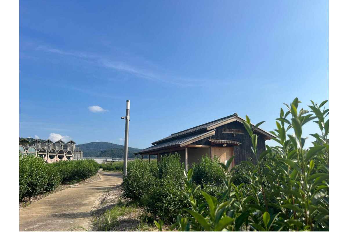 昔ながらの茶園の景観を再現「お茶と宇治のまち歴史公園　茶づな」（京都府宇治市）