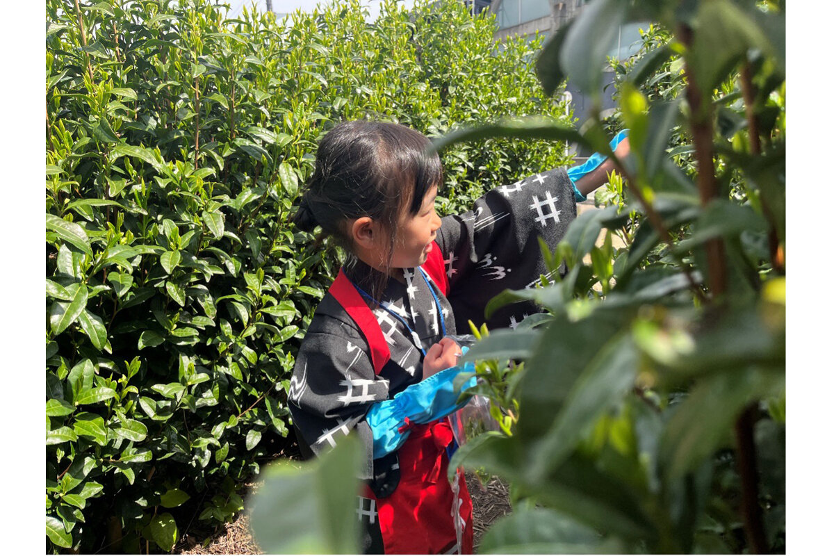 なりきり衣装で茶娘になった気分も味わえます（男女兼用）「お茶と宇治のまち歴史公園　茶づな」（京都府宇治市）