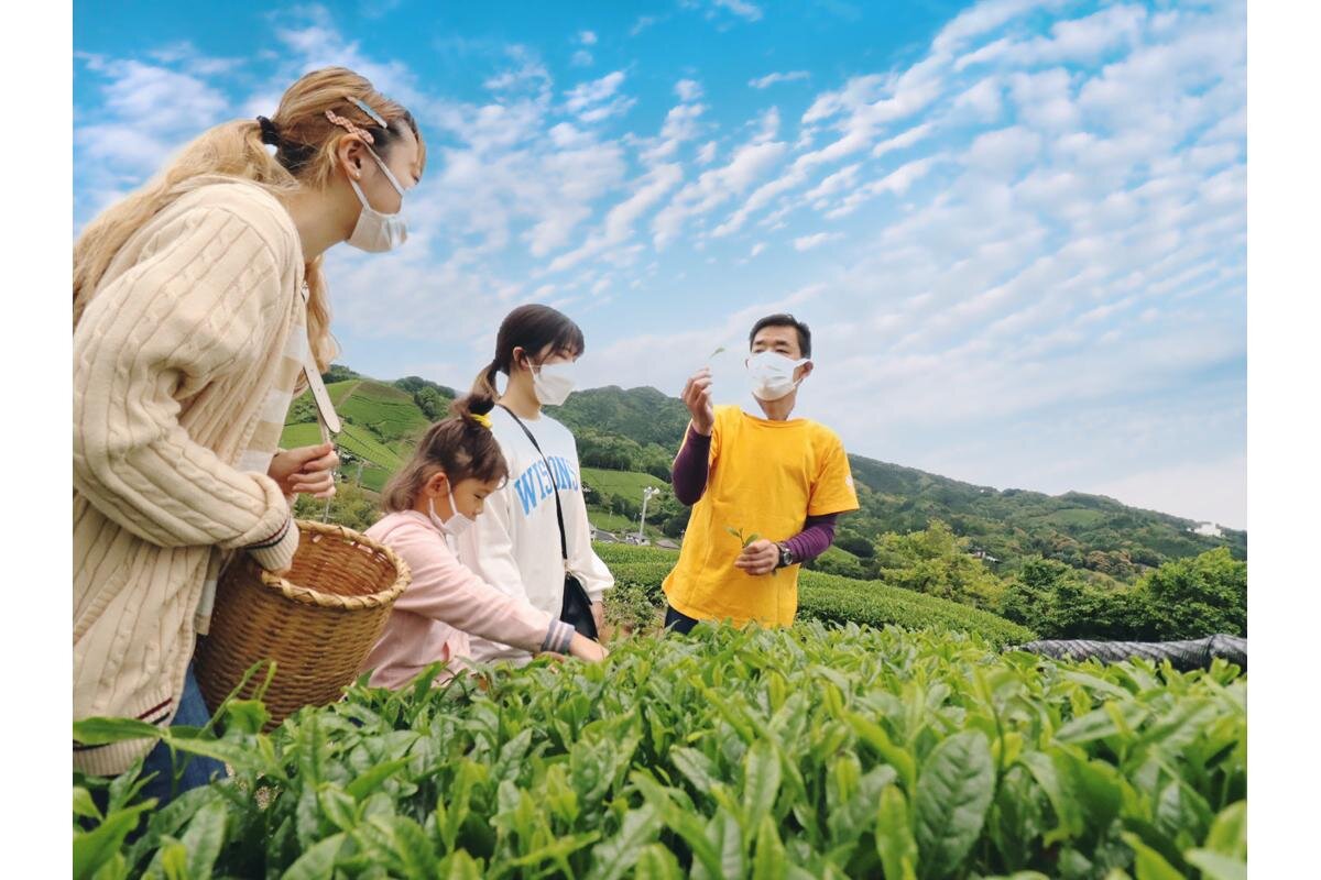 茶摘みインストラクターのお話も楽しい「和束家」（京都府和束町）