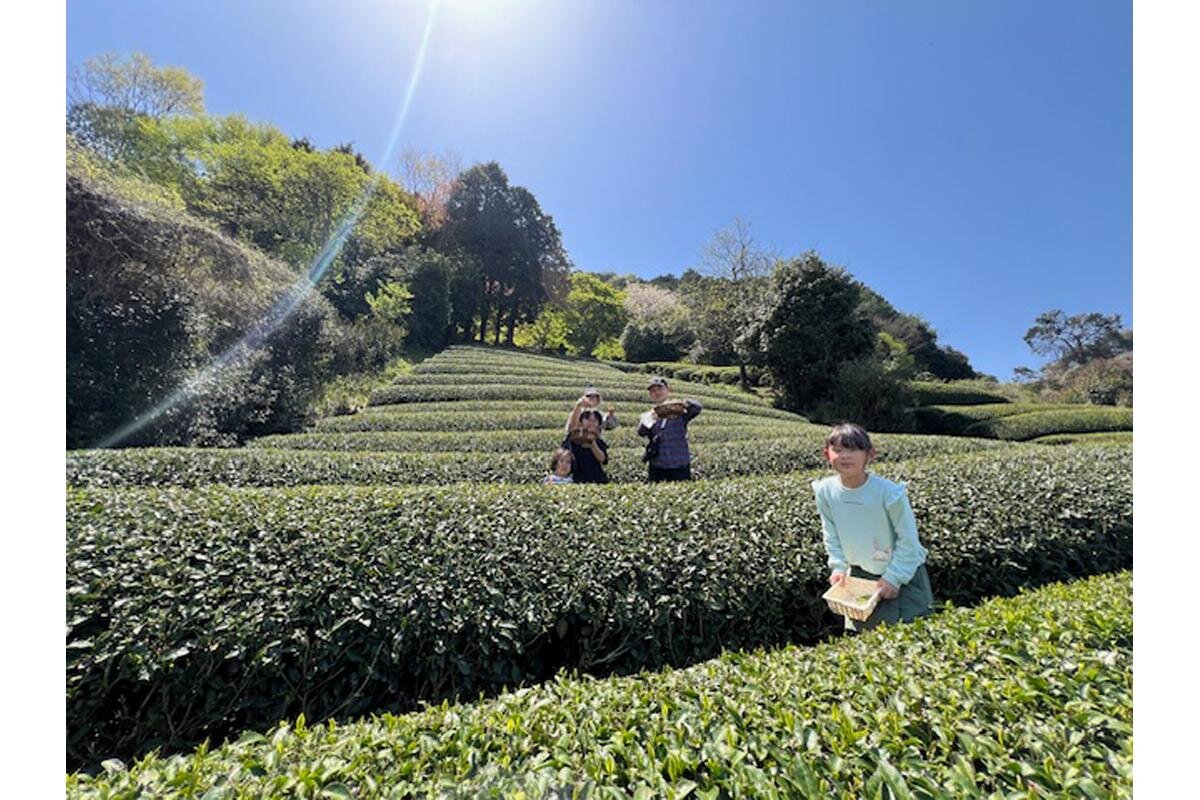 茶そばや茶葉天ぷらを作る体験や子ども向け体験も多く用意「和束家」（京都府相楽郡）