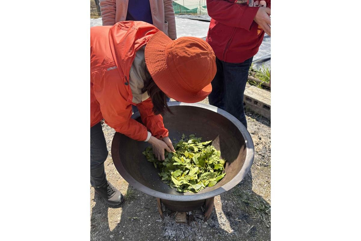 釜炒りでお茶をつくる様子「Natural Green Light」（奈良市中貫町）