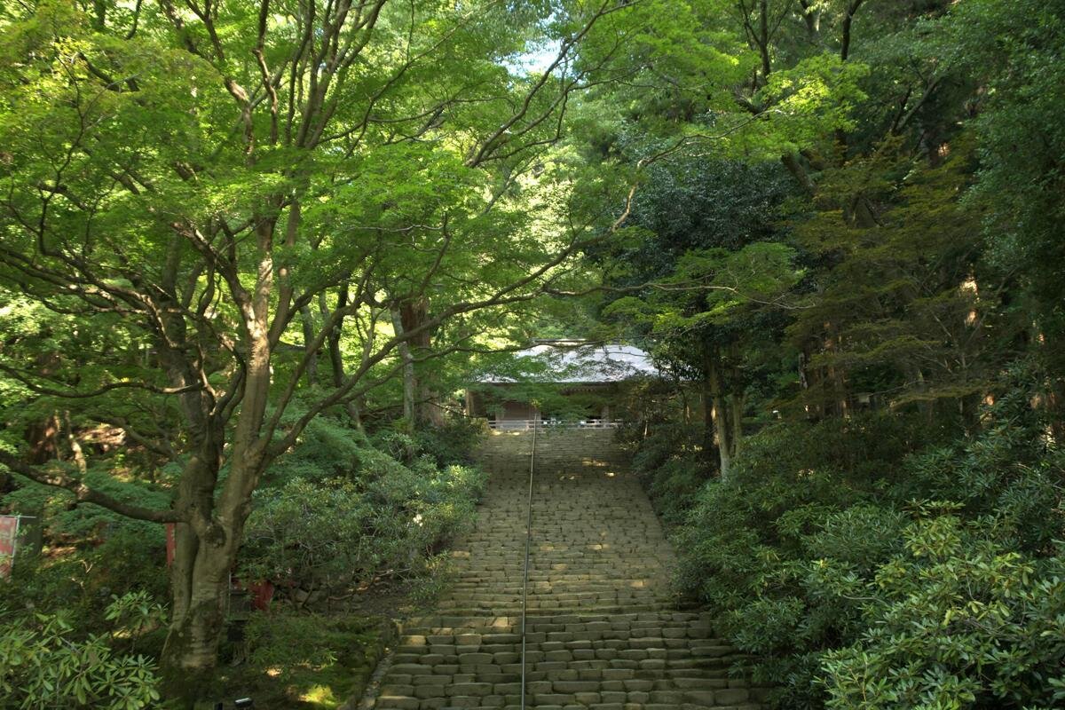 「室生寺」の鎧坂（奈良県宇陀市）