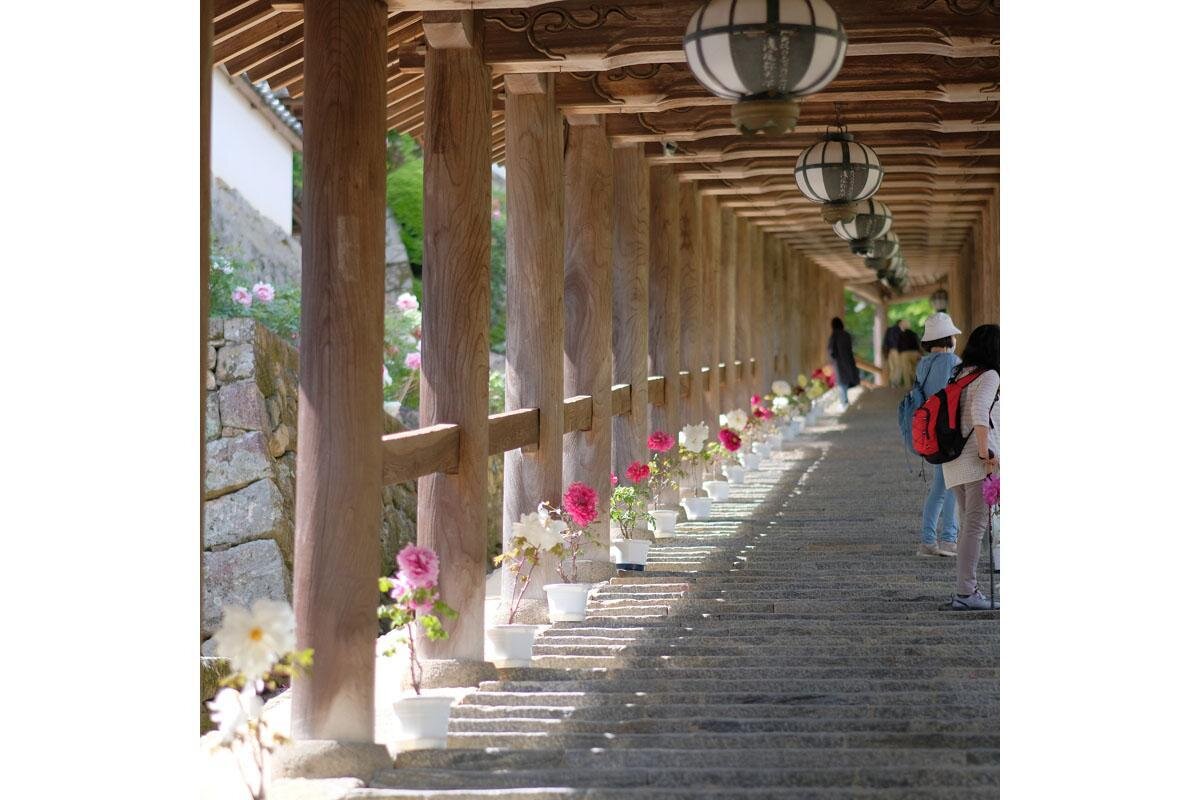 「長谷寺」の登廊（奈良県桜井市）
