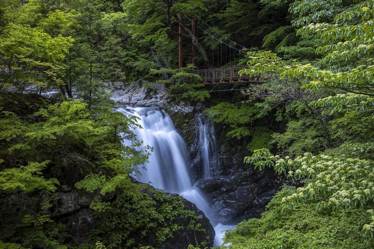 大自然の迫力「みたらい渓谷」（奈良県天川村）
