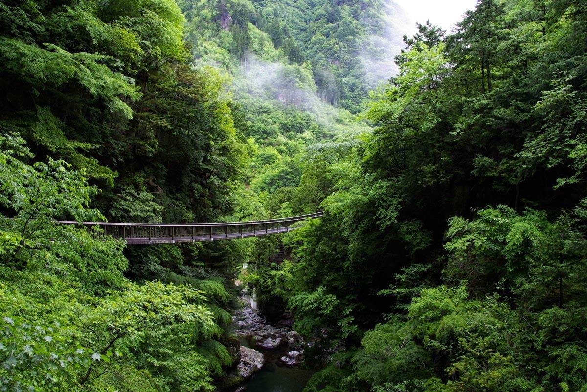 「みたらい渓谷」の哀伝橋周辺の景色がおすすめ（奈良県天川村）