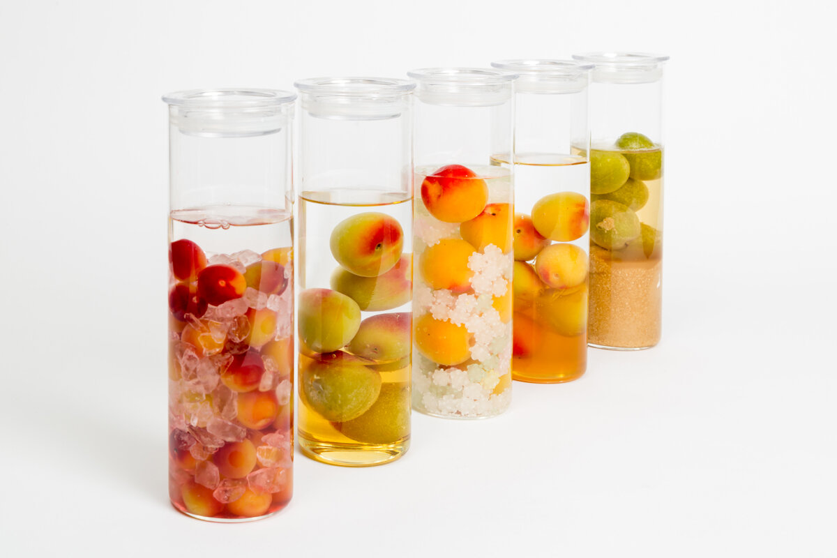 100種類の組み合わせからオリジナル梅酒作り。梅体験専門店「蝶矢」（京都市中京区）