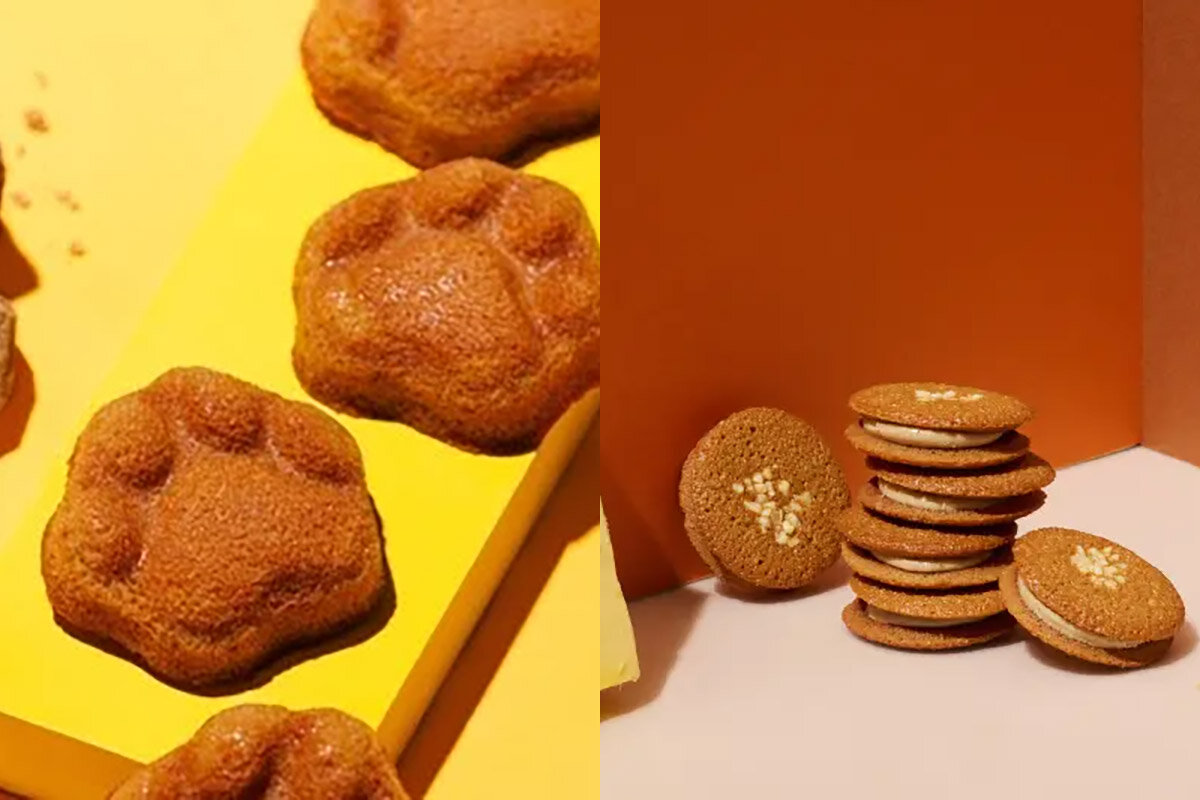 肉球型「コクウマフィナンシェ」（左、4個入1,080円、8個入2,160円）と「コクウマチュイール 」（6個入1,296円・ともに税込）