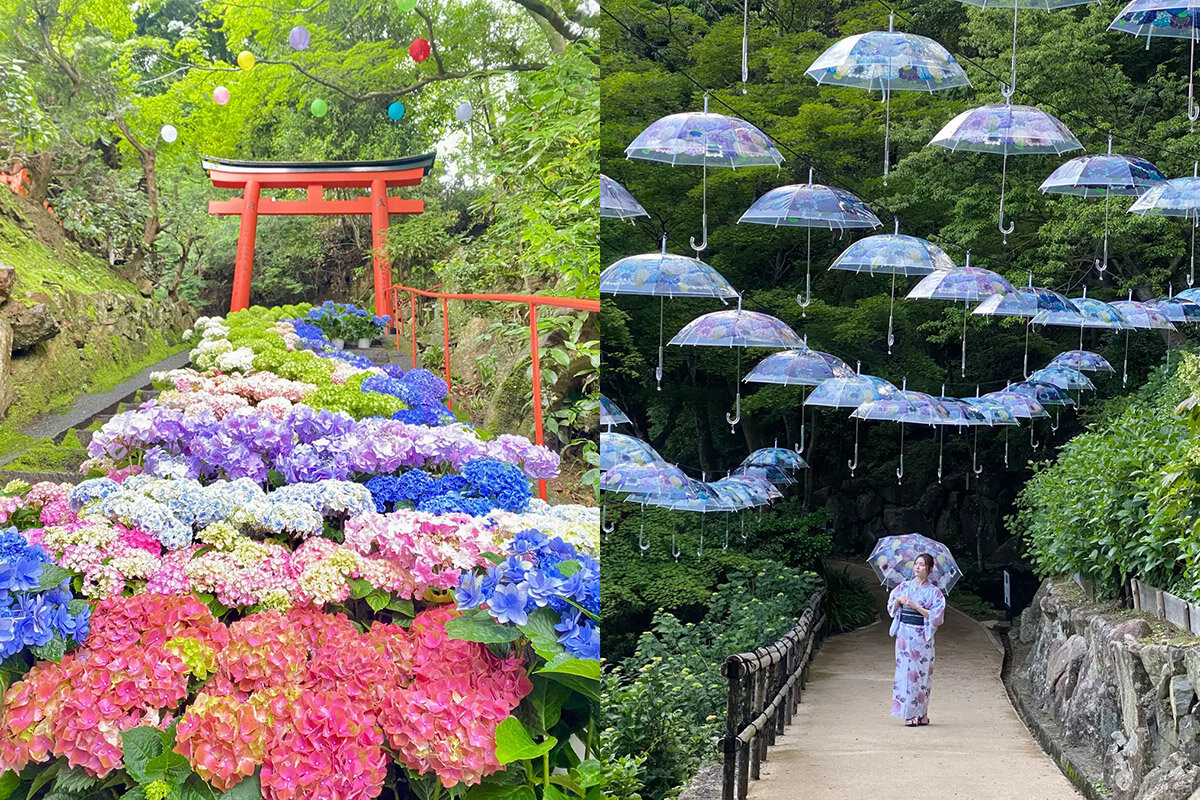 「柳谷観音 楊谷寺」（京都府長岡京市）の花階段（左）とアンブレラスカイ