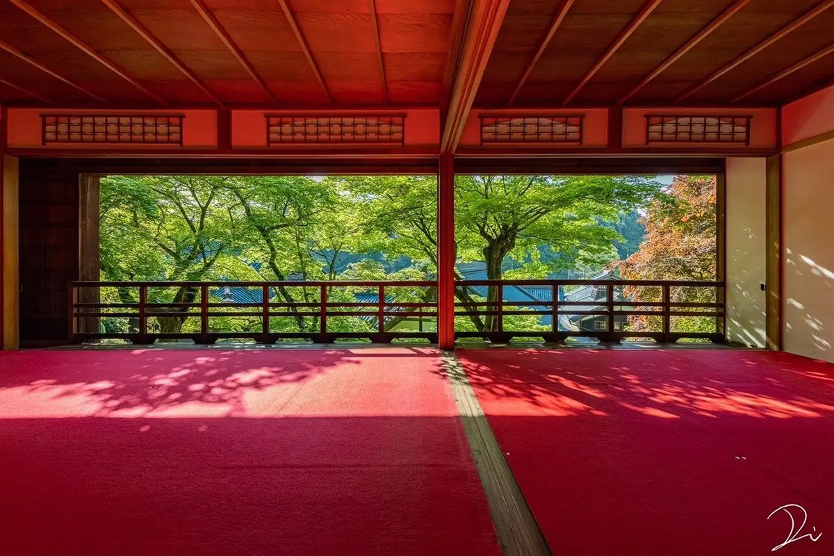 あじさいウィーク期間中に特別公開される、「柳谷観音 楊谷寺」（京都府長岡京市）の「上書院」（撮影：稲田大樹）