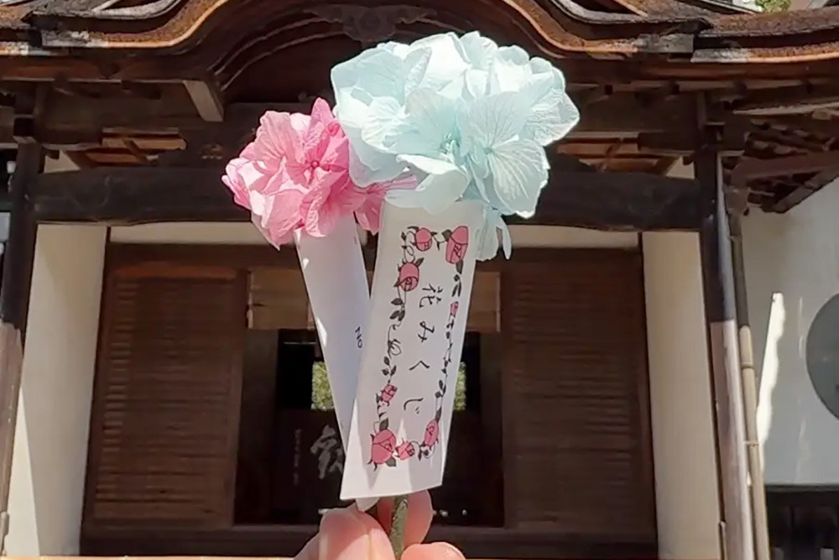 紫陽花のプリザーブドフラワーを使用した、毎年人気の「花みくじ」（柳谷観音 楊谷寺・京都府長岡京市）