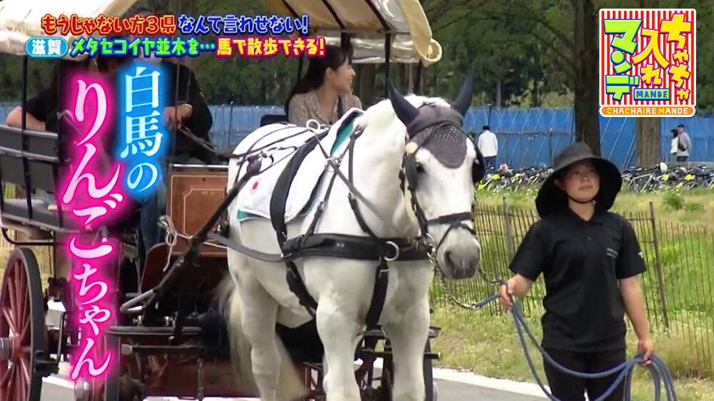 『ちゃちゃ入れマンデー』（5月5日OA）白馬のりんごちゃん