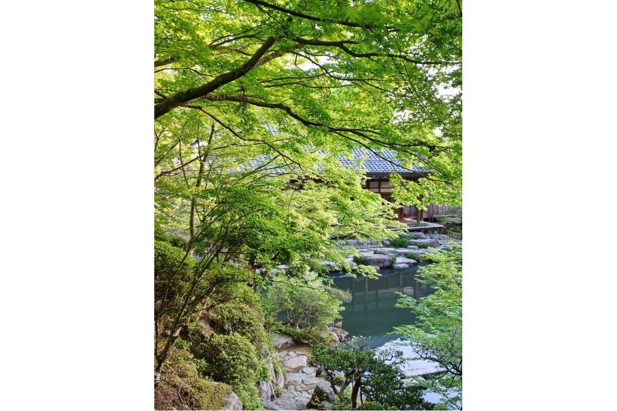 本坊の庭園「百済寺」（滋賀県東近江市）