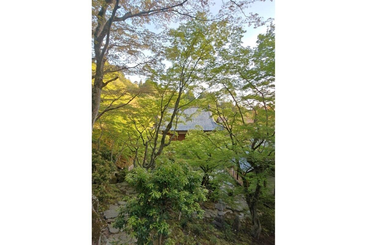 新緑の中、石段を登り本堂を目指します「百済寺」（滋賀県東近江市）