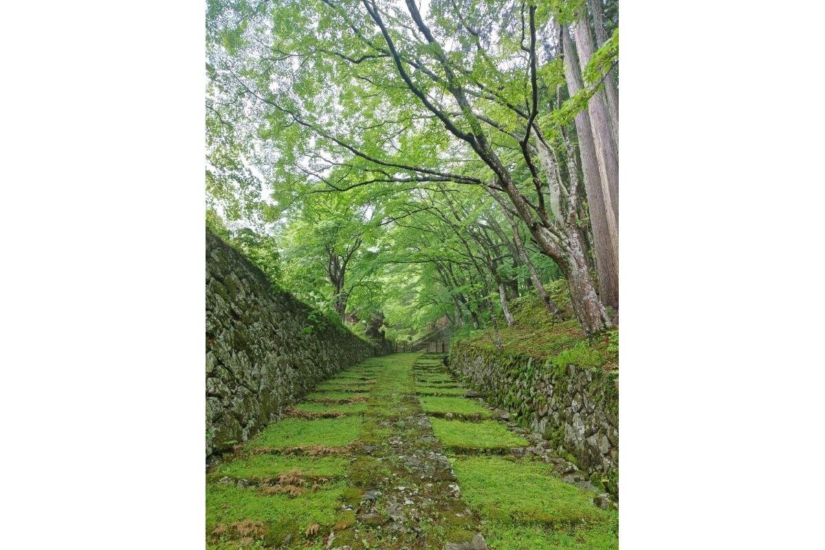 石垣と青もみじと苔の緑に包まれます「百済寺」（滋賀県東近江市）