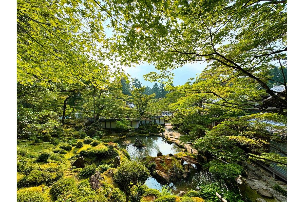 池を囲む名勝庭園・蓬莱庭「西明寺」（滋賀県犬上郡甲良町）