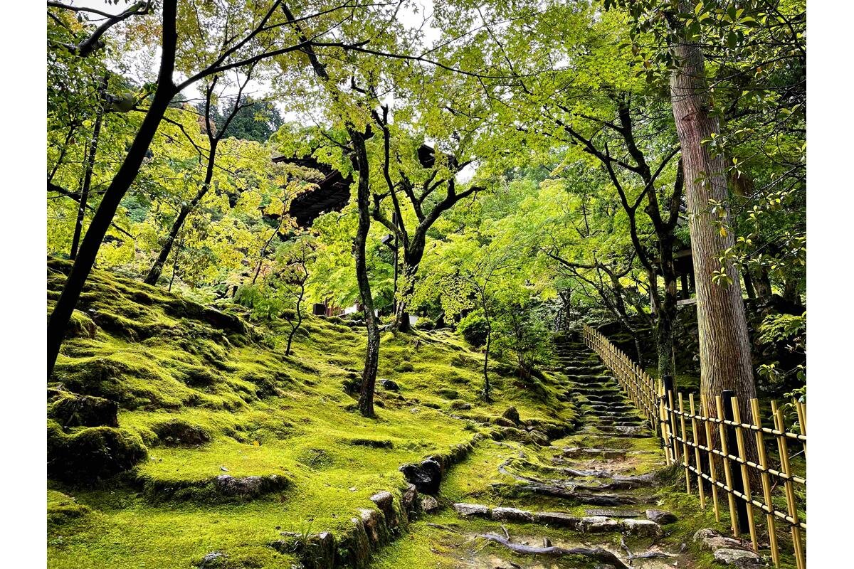 緑に囲まれる苔の小道「西明寺」（滋賀県犬上郡甲良町）