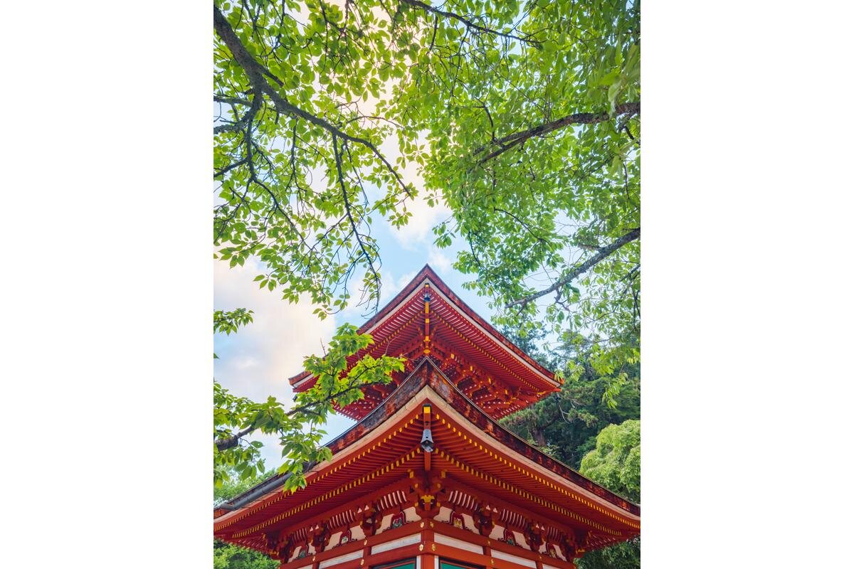 新緑に鮮やかな朱色のコントラストが楽しめます「天野山　金剛寺」（大阪府河内長野市）