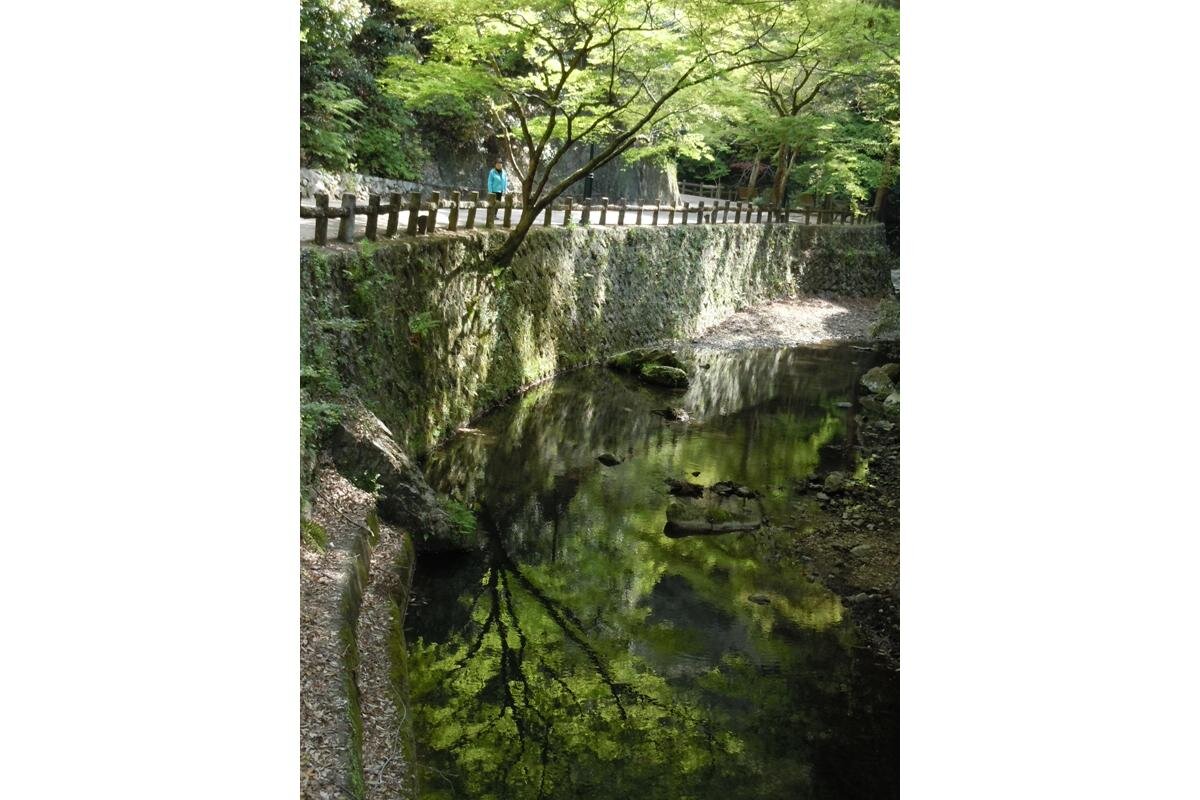 川面に映る新緑の景色も楽しめます（箕面公園管理事務所撮影）（大阪府箕面市）