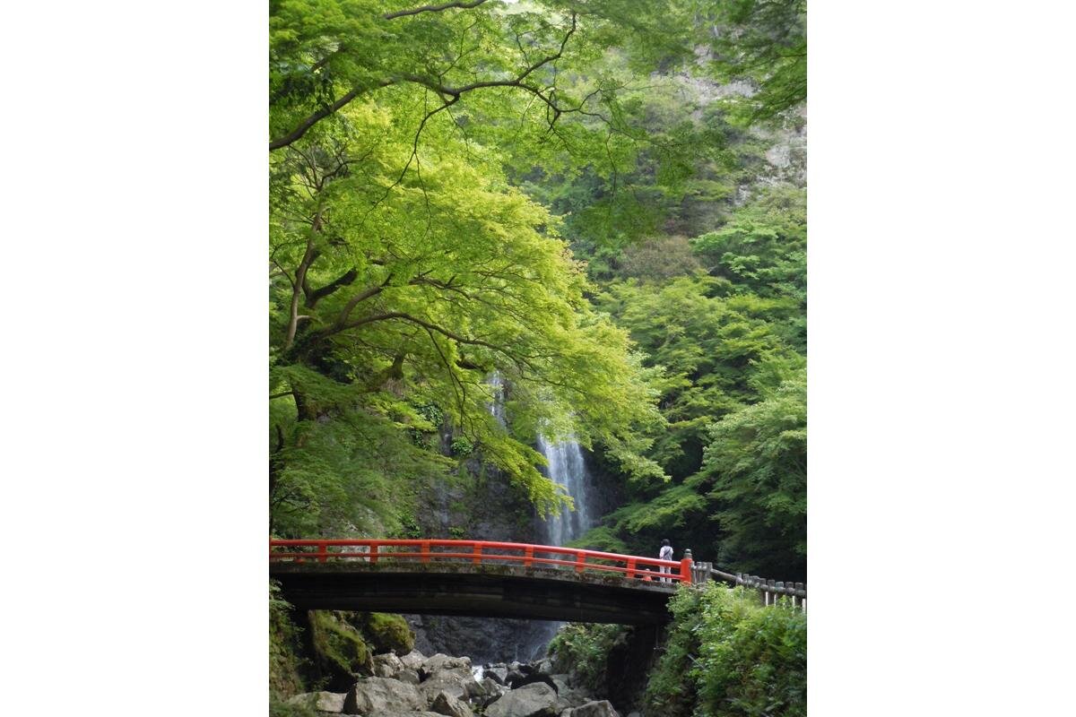 箕面大滝の周辺も絶景です（箕面公園管理事務所撮影）（大阪府箕面市）