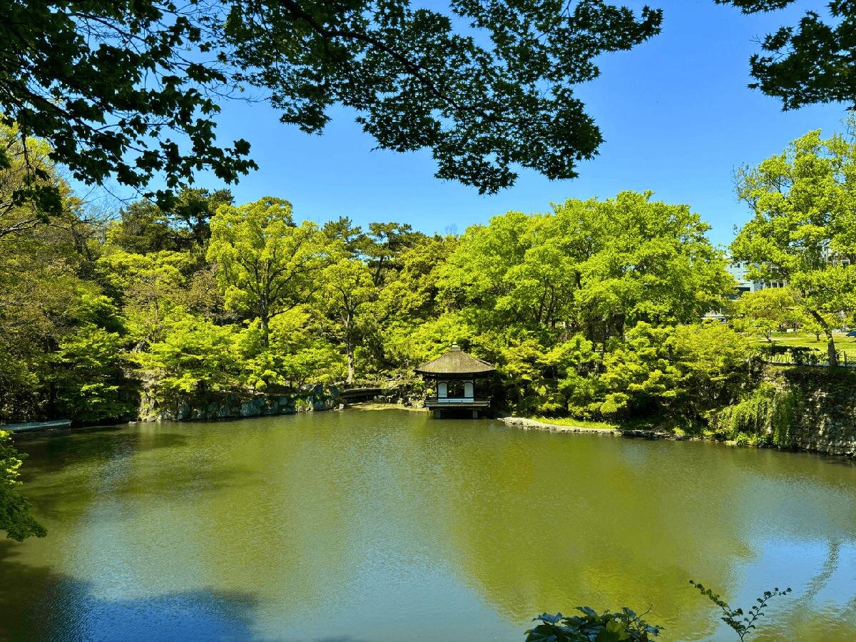 新緑が水面に映る美しい景観が楽しめます「西之丸庭園」（和歌山市）
