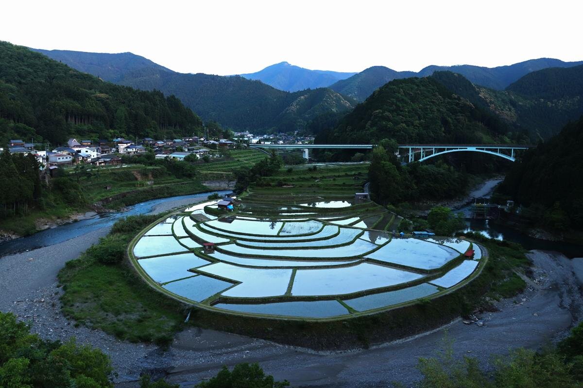 幻想的な水鏡の「あらぎ島」（和歌山県有田川町）