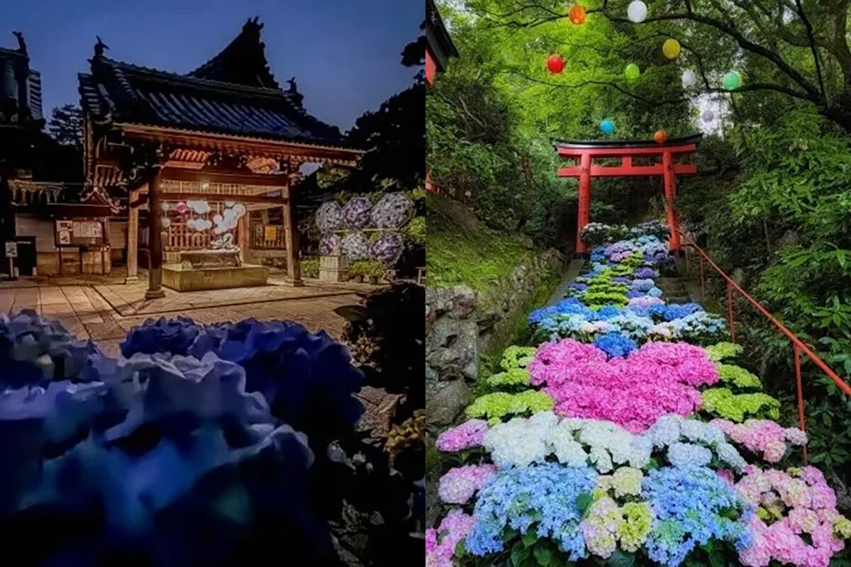 「柳谷観音 楊谷寺」の手水舎（左）と紫陽花階段（写真／@macchan358さん）