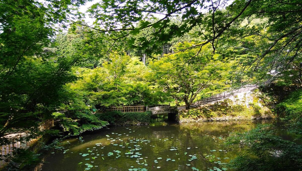 「放生池」に映る新緑も美しいです「永谷山 円通寺」（兵庫県丹波市）