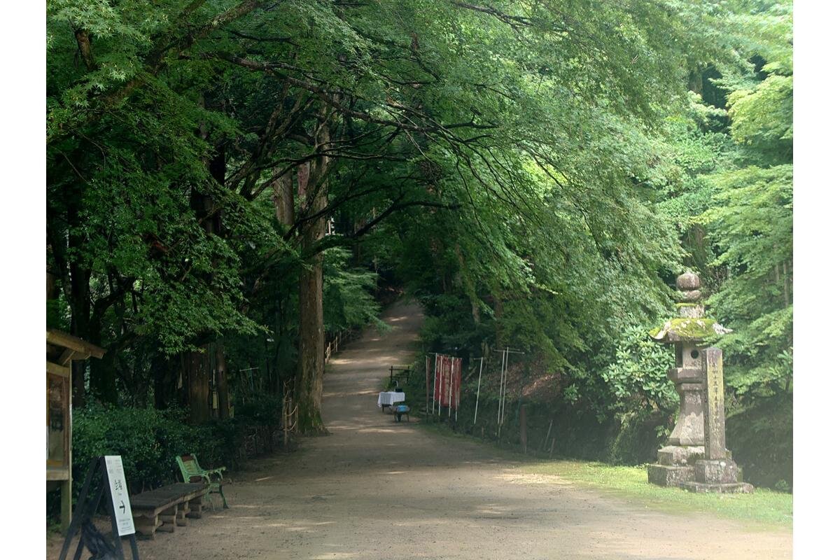 新緑の中を心静かに歩くことができます「書寫山圓教寺」（兵庫県姫路市）