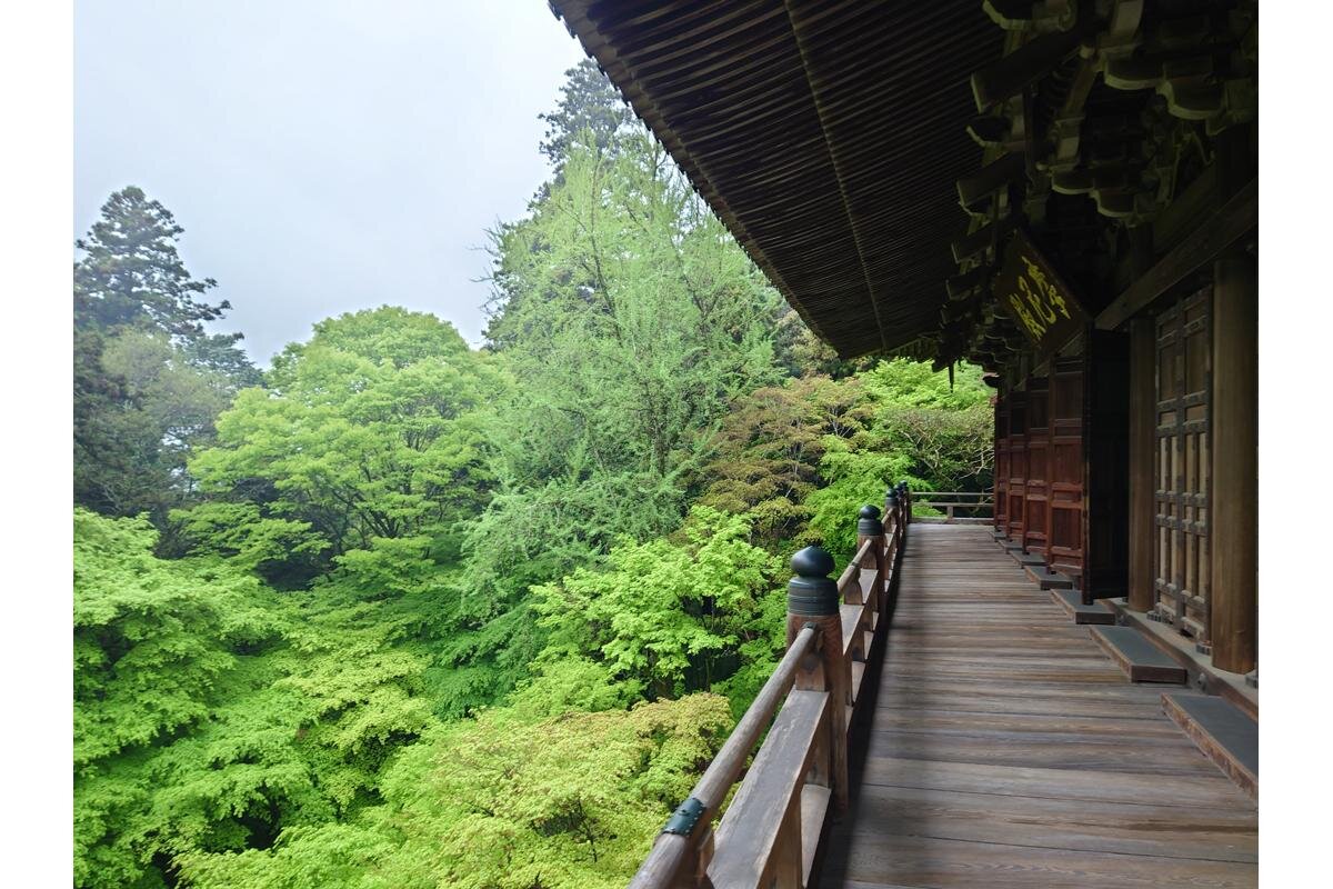摩尼殿の廊下から見下ろす新緑は圧巻「書寫山圓教寺」（兵庫県姫路市）