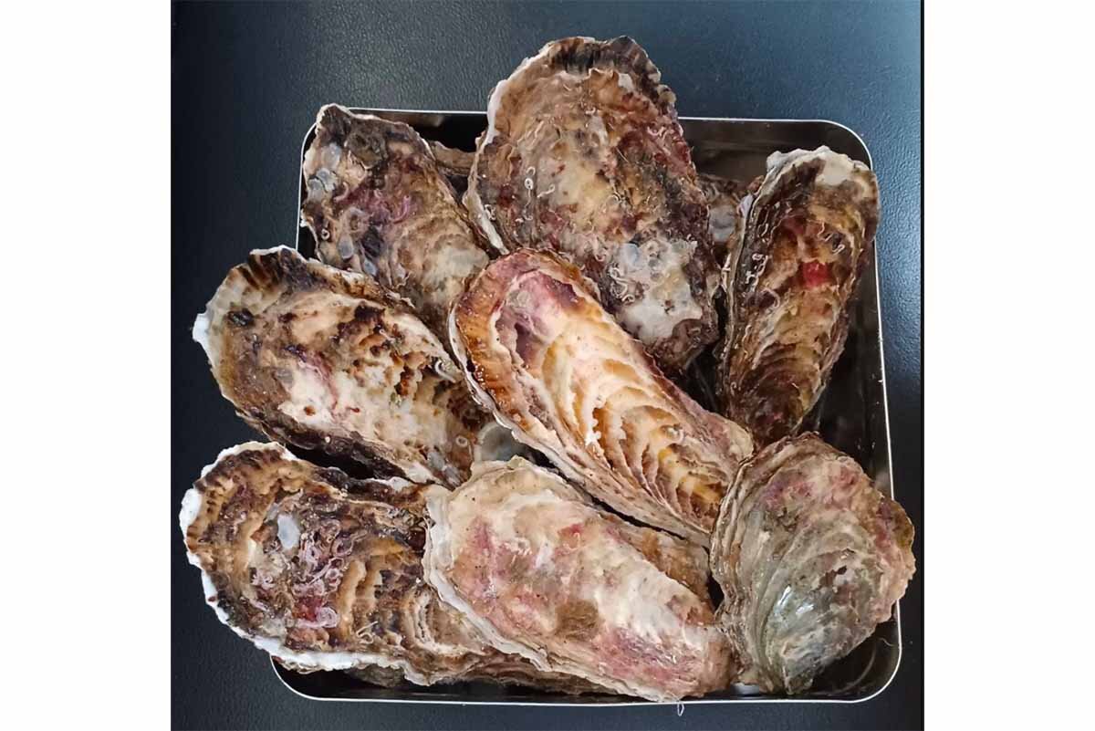 牡蠣のガンガン焼きのイメージ