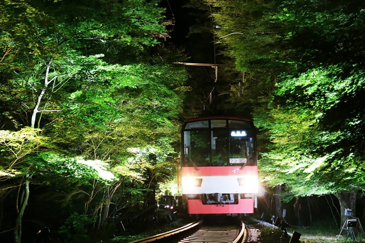 叡山電車の夏の恒例イベント『青もみじのライトアップ』（イメージ）