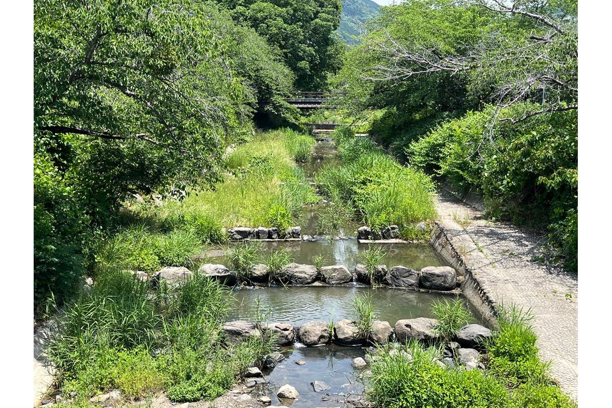 「井手の玉川」の明るい時間（京都府井手町）